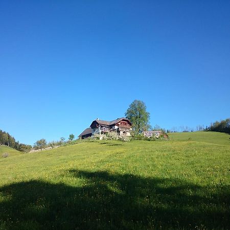 Bio-Bauernhof Kurzeck Villa Göstling an der Ybbs Buitenkant foto