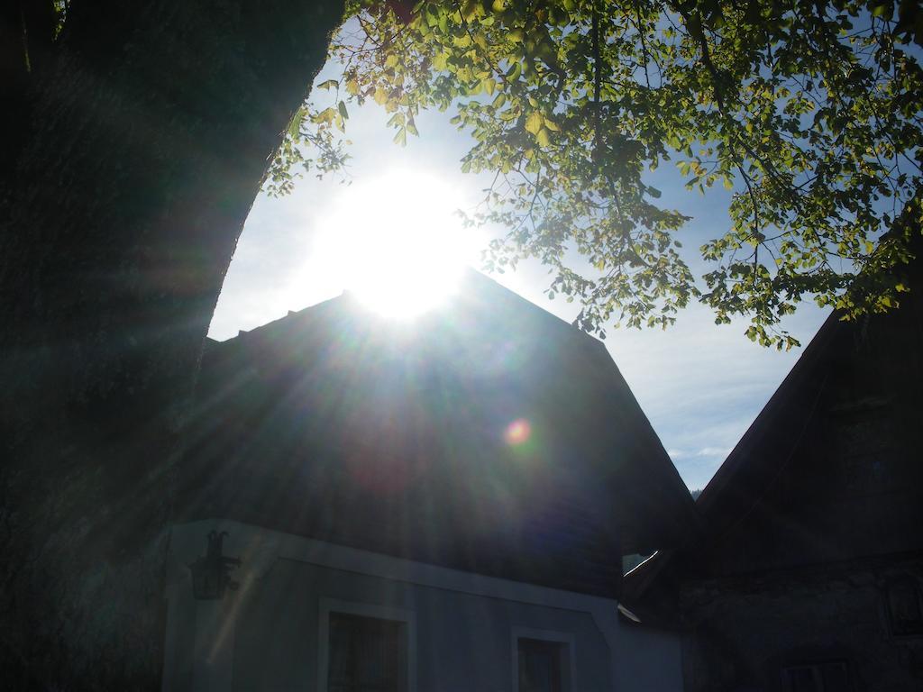 Bio-Bauernhof Kurzeck Villa Göstling an der Ybbs Buitenkant foto
