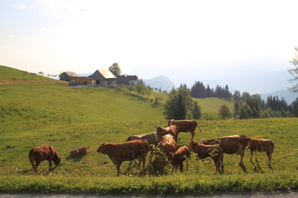 Bio-Bauernhof Kurzeck Villa Göstling an der Ybbs Buitenkant foto