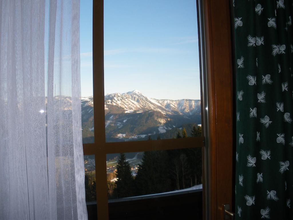 Bio-Bauernhof Kurzeck Villa Göstling an der Ybbs Kamer foto