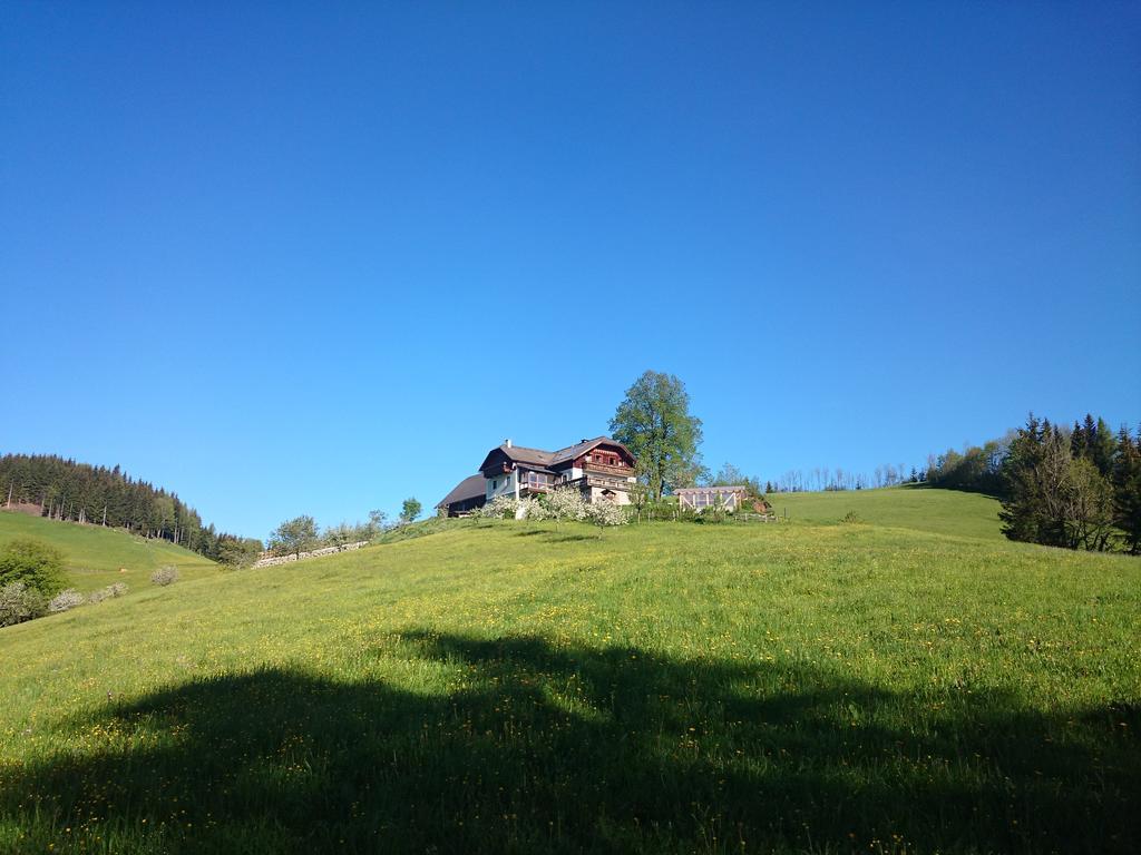 Bio-Bauernhof Kurzeck Villa Göstling an der Ybbs Buitenkant foto