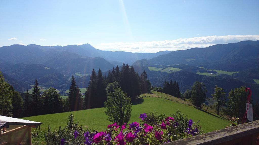 Bio-Bauernhof Kurzeck Villa Göstling an der Ybbs Buitenkant foto
